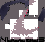 Nucleus