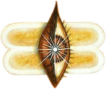 SHIV ENTERPRISE