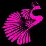 Reshmi design studio